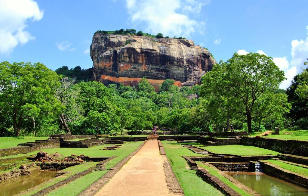 Sigiriya Flower Guest Eksteriør billede